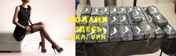 ПСИЛОЦИБИНОВЫЕ ГРИБЫ Сосновка