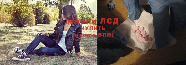 ПСИЛОЦИБИНОВЫЕ ГРИБЫ Сосновка
