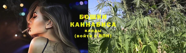 ПСИЛОЦИБИНОВЫЕ ГРИБЫ Сосновка