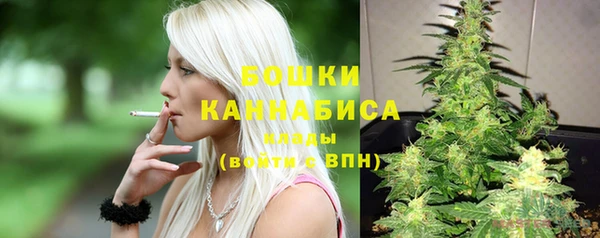 ПСИЛОЦИБИНОВЫЕ ГРИБЫ Сосновка