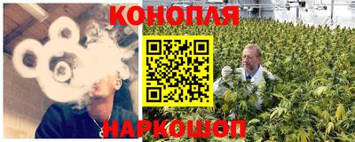 бошки Бийск