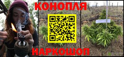 бошки Бийск