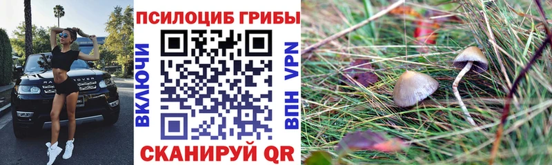 Псилоцибиновые грибы MAGIC MUSHROOMS  Вязьма 