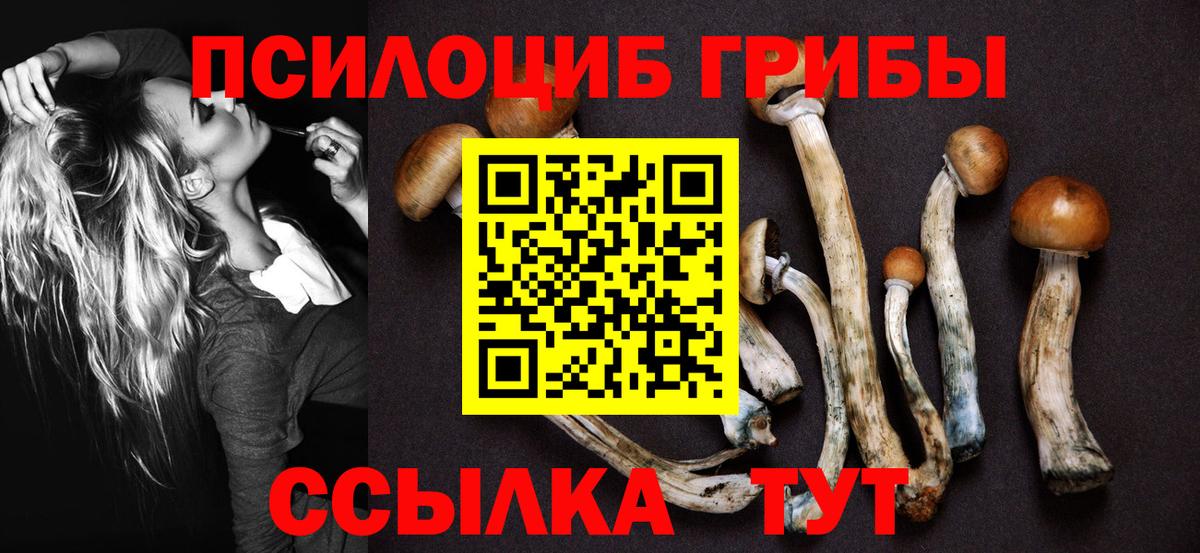 Псилоцибиновые грибы прущие грибы  Вязьма 
